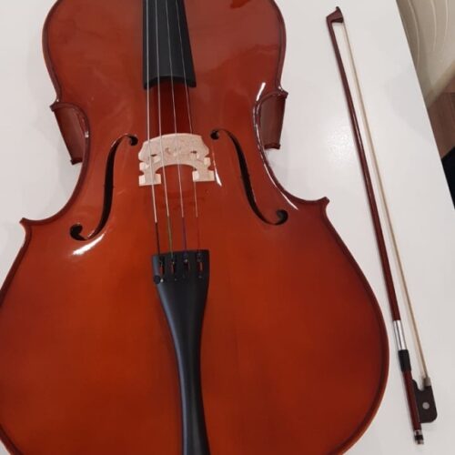 Sewa alat musik Cello Jakarta